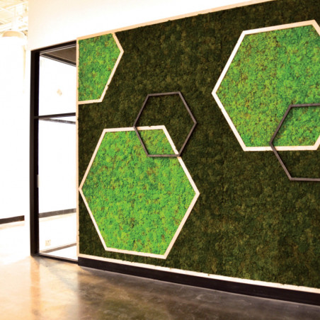 4 Panneaux mousse stabilisée lichen vert foncé (100x25cm - liège)