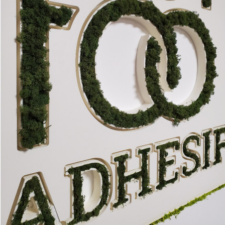 4 Panneaux mousse stabilisée lichen vert menthe (100x25cm - liège)