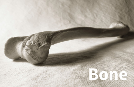 Squid bone - textile adhésif en 1.37m