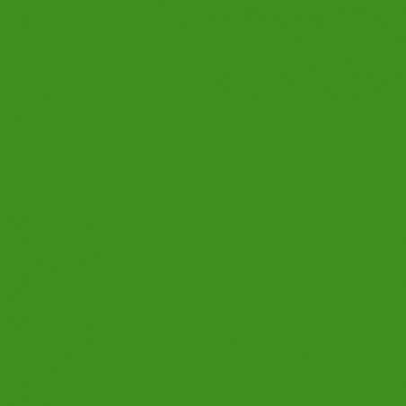100.2420/5 Vert grenouille en 1.22m (référence arrêtée) prix net