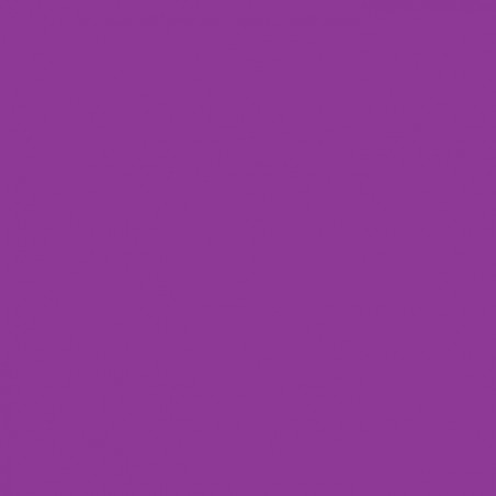 A0072 PS Fim violet fluo en 0.50m