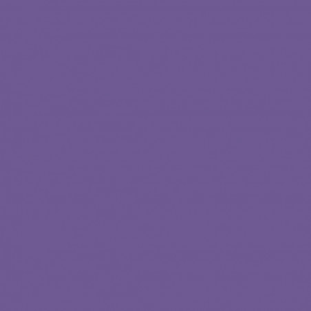 E0015 PS electric violet en 0.50m