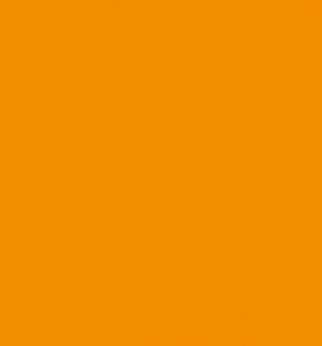 CT 113 11356 Transparent orange clair en 1.25m