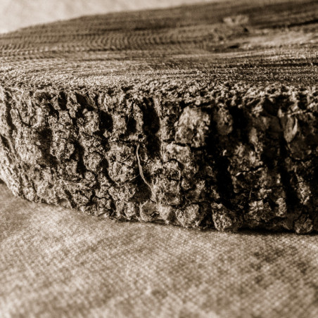 Squid oak - textile adhésif en 1.37m 
